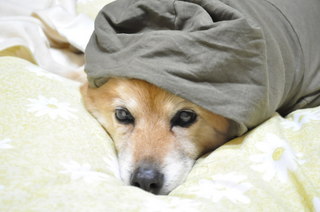 2011_04_11_001.jpg