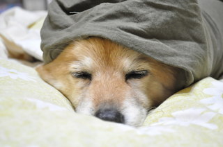 2011_04_11_002.jpg