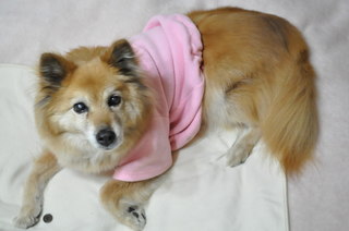 2011_04_12_001.jpg