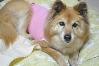 2011_04_16_001.jpg