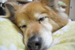 2011_04_16_002.jpg