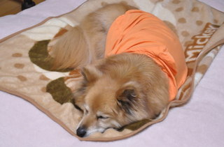 2011_04_21_002.jpg