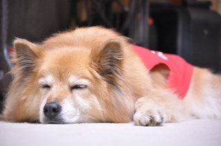 2011_04_23_001.jpg