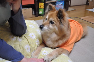 2011_04_24_001.jpg