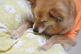 2011_04_24_002.jpg