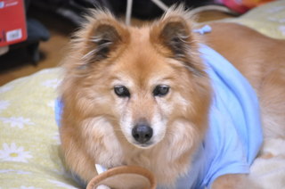 2011_04_25_001.jpg