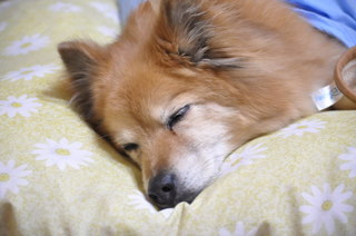 2011_04_25_002.jpg