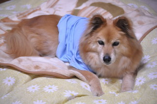 2011_04_26_001.jpg