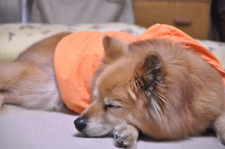 2011_04_28_002.jpg