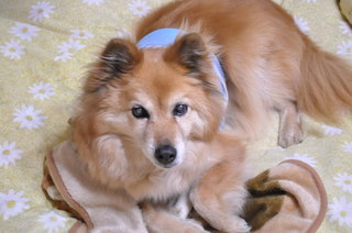 2011_04_29_001.jpg
