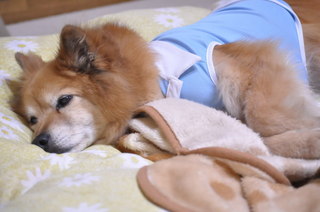 2011_04_29_002.jpg