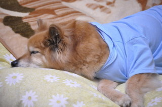 2011_04_30_002.jpg