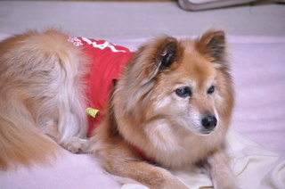 2011_05_14_001.jpg