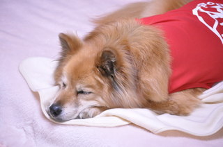 2011_05_14_002.jpg