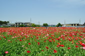 2011_05_14_003.jpg