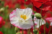 2011_05_14_004.jpg