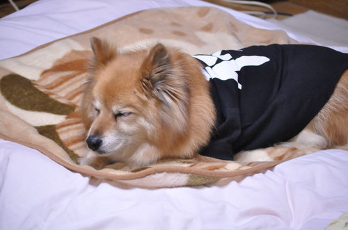 2011_05_31_002.jpg