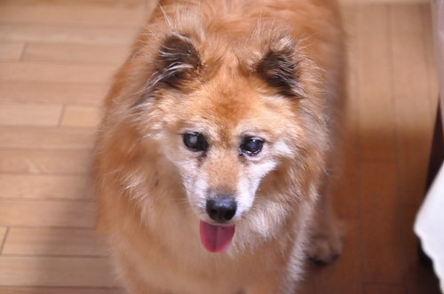 2011_08_31_001.jpg