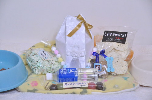2012.08.18_chobi_001.jpg