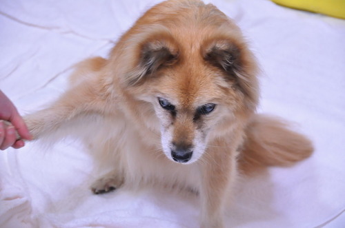 2012_03_16_002.jpg