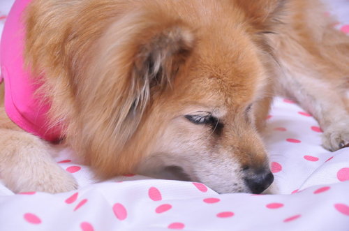 2012_03_16_004.jpg