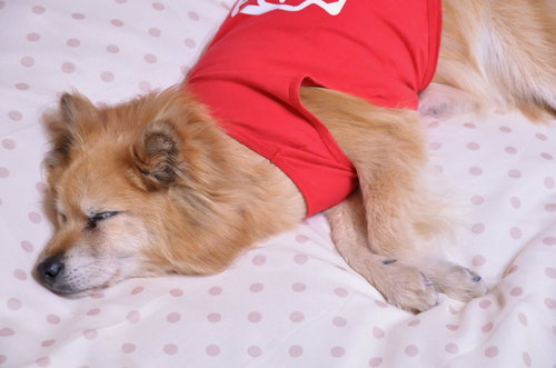 2012_03_22_002.jpg