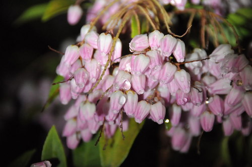 2012_03_24_001.jpg