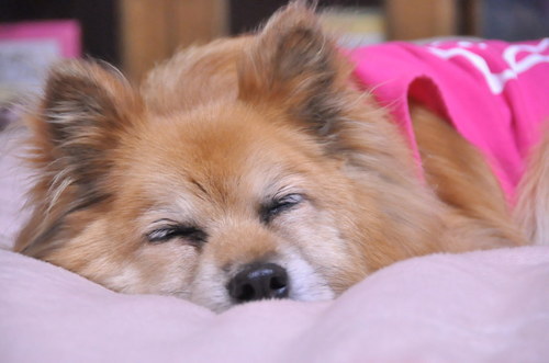 2012_03_24_004.jpg