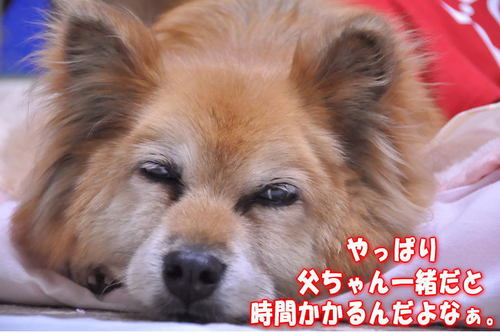 2012_03_25_004.jpg