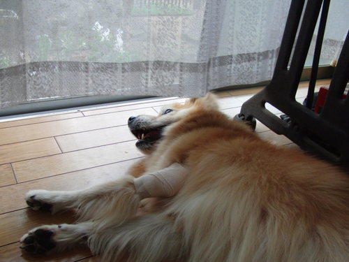 2012_07_16_000.jpg