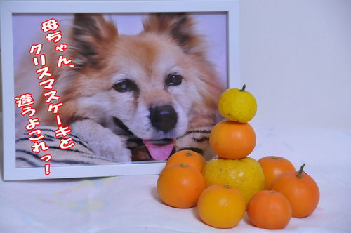 2012_12_24_001.jpg